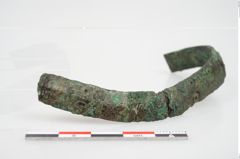 Foto von Bronzeschaukelfußreif (NHMW-PRAE-026631)